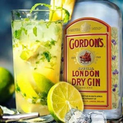 GORDON GİN TEK
